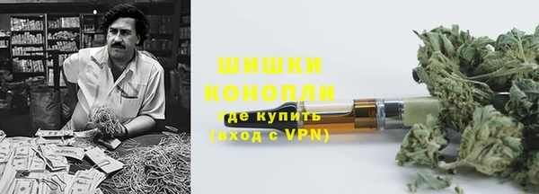 тгк Богданович