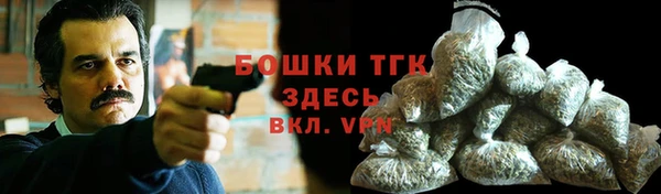 тгк Богданович